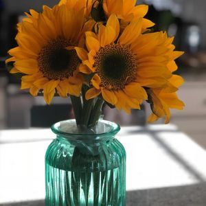 Meet your Posher, Darren-angie